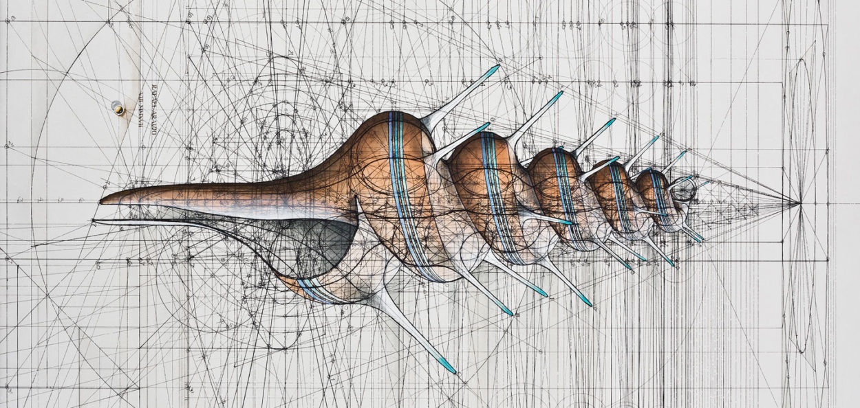 Rafael Araujo on mathematical illustrations of nature