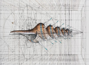 Rafael Araujo on mathematical illustrations of nature