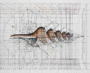 Rafael Araujo on mathematical illustrations of nature