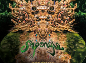 Shpongle – Codex VI