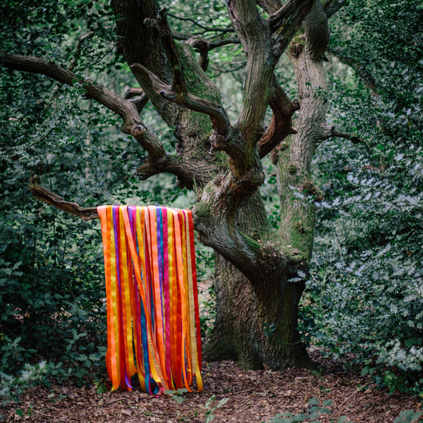 James Holden & The Animal Spirits – Go Gladly Into The Earth