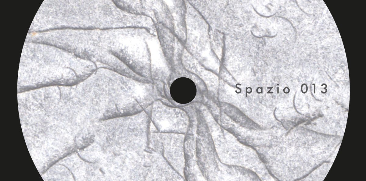 Spazio Disponibile announces collaborative release from Donato Dozzy and Retina.it