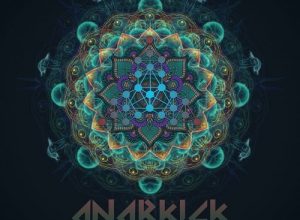 Anarkick & Delos – Eat The Mushroom