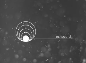 Label Showcase: Echocord