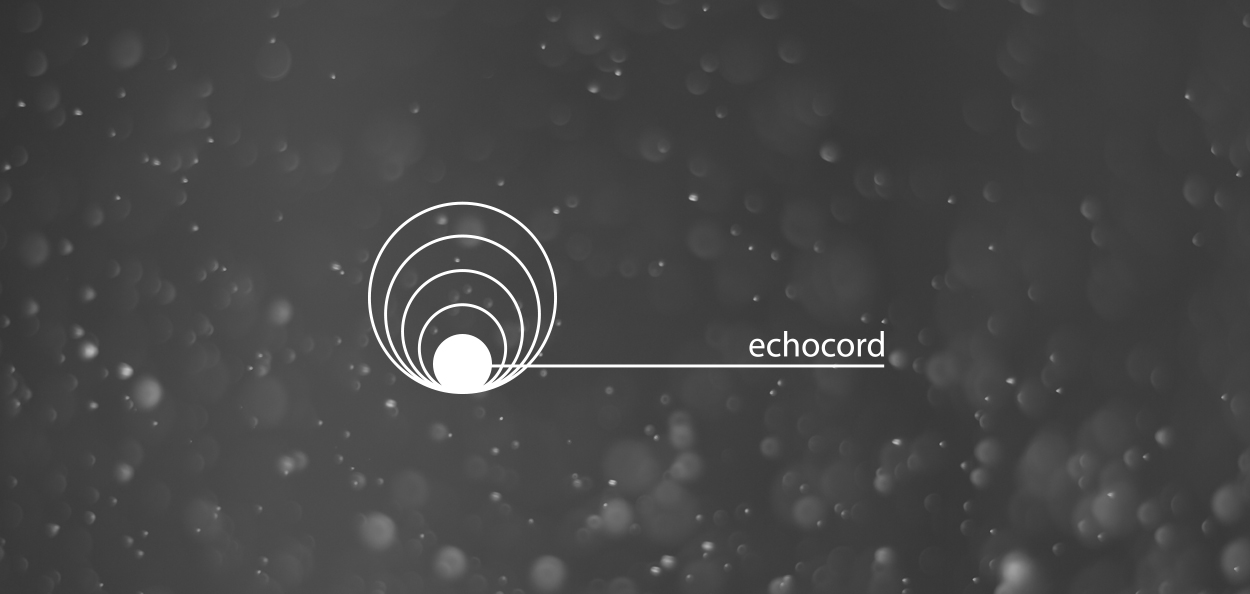 Label Showcase: Echocord