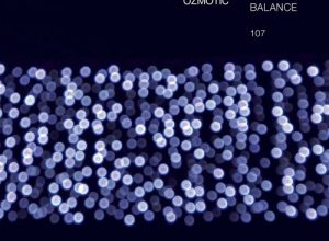 OZmotic – Lymph