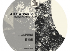 Alix Alvarez – Glass Houses