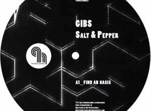 Gibs – Find An Oasis