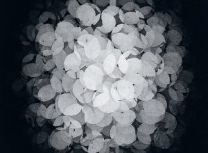 Latmos – This Shell is a Vessel (Frederik Hatsav Remix)