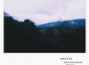 Ameeva – Held This Feeling For Way Too Long