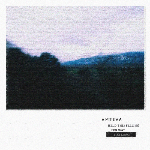 Ameeva – Held This Feeling For Way Too Long