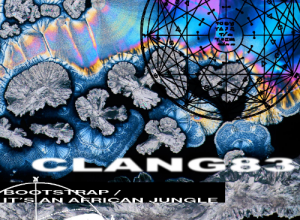 Clang83 – It’s an African Jungle