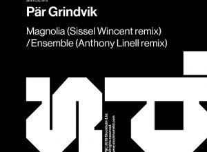 Pär Grindvik – Ensemble (Anthony Linell Remix)