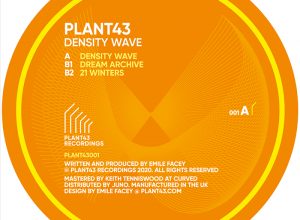 Plant43 – 21 Winters