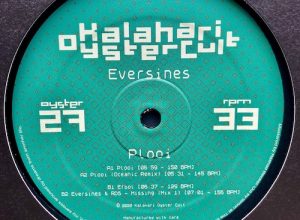 Eversines – Plooi (Oceanic Remix)