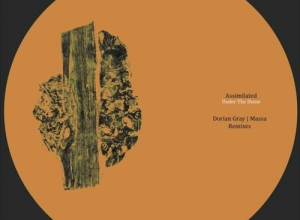 Assimilated – Sequence Of Occurrences (Dorian Gray Remix)