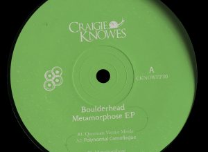 Boulderhead – Polynomial Camouflage