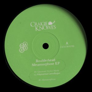 CKNOWEP30-A-Vinyl