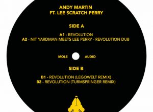 Andy Martin feat. Lee Scratch Perry – Revolution (Legowelt Remix)