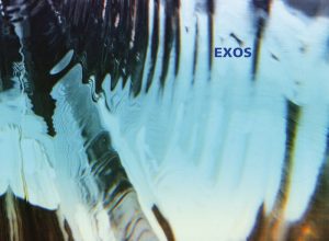 Exos – Time Of