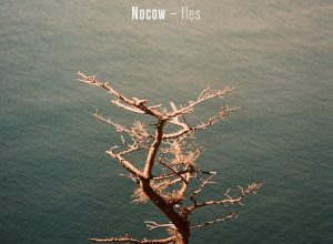 Nocow – Dawnguard