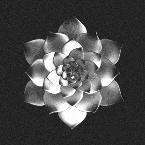 Blazej Malinowski - Moods EP