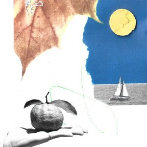 Aspetuck - Early Color - Never Late