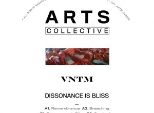 VNTM – Dissonance Is Bliss