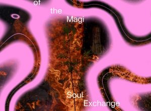 Lord of the Magi – Soul Exchange