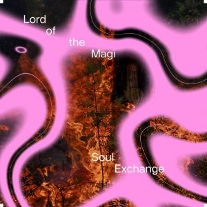 Lord of the Magi – Soul Exchange