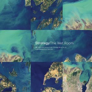 Strategy - The Wet Room - Community Library