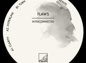 FLAWS – Hyperlink