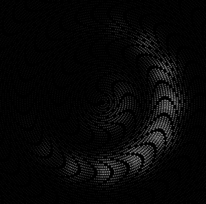 Manuel Fischer - Exxodus - Ozelot