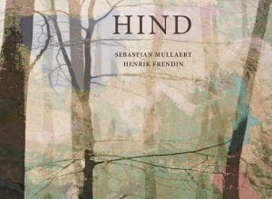 Sebastian Mullaert & Henrik Frendin – Hind (Radio Edit)