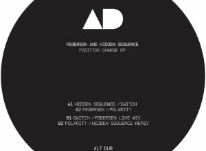Federsen – Polarity (Hidden Sequence Remix)