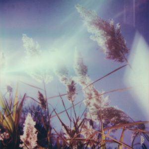 Benoît Pioulard – Xaipe