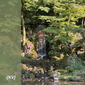 LSS – Blue Dub