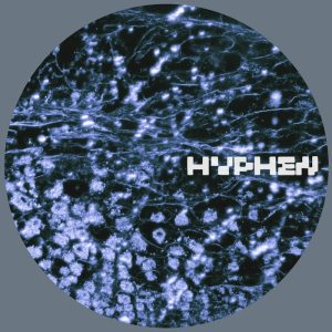 vauna – Historic Archetype (Forest On Stasys Remix)