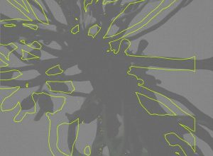 Insomniast – Reakt