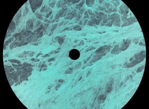 Josef Gaard – Twin Lines
