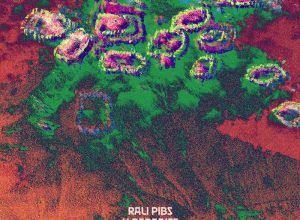 Rali Pibs – Ritual Loops