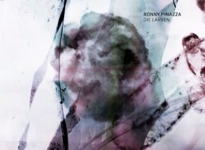Ronny Pinazza – Die Larven (Notzing Remix)
