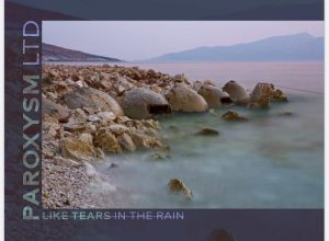 Vekh – Like Tears