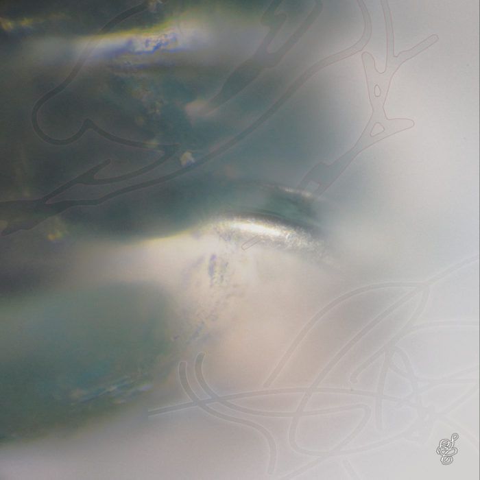 Konalgad – Layers Dissolve