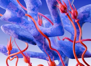 Ma Sha x Hodge – Memory Split