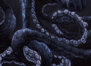 Los Pulpitos – Cubozoa