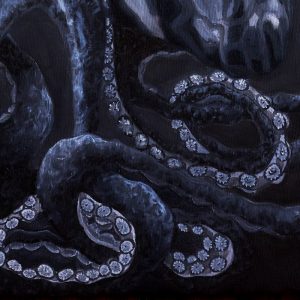 Los Pulpitos – Cubozoa