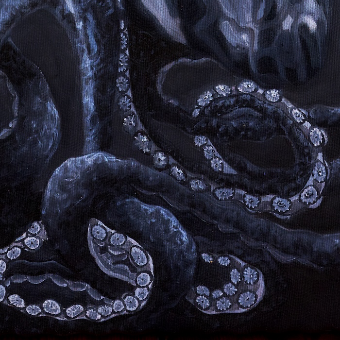 Los Pulpitos – Cubozoa