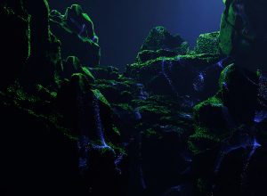 Twerking Class Heroes – Sidescan