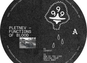 Pletnev – ¿Sabes?